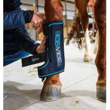 Ghette massaggianti Horseware Ice-Vibe Ghette massaggianti Horseware Ice-Vibe