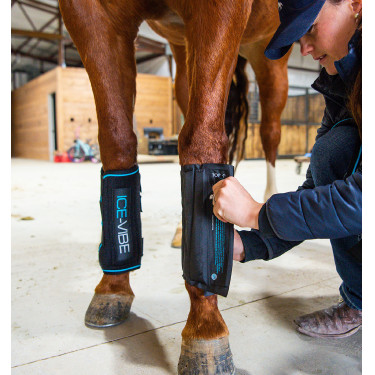 Ghette massaggianti Horseware Ice-Vibe Ghette massaggianti Horseware Ice-Vibe
