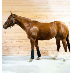 Ghette massaggianti Horseware Ice-Vibe Ghette massaggianti Horseware Ice-Vibe