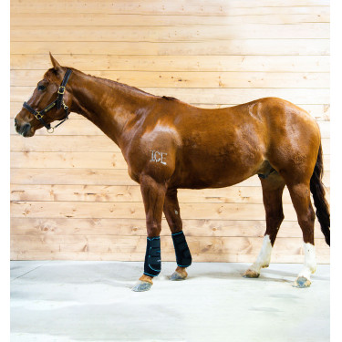 Ghette massaggianti Horseware Ice-Vibe Ghette massaggianti Horseware Ice-Vibe