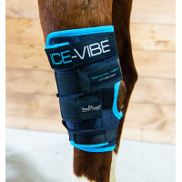 Paragambe Horseware Ice-Vibe Nero / blu acqua