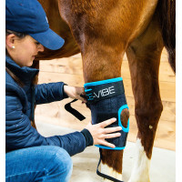 Paragambe Horseware Ice-Vibe Nero / blu acqua