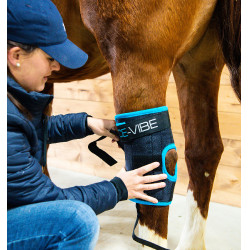 Paragambe Horseware Ice-Vibe Paragambe Horseware Ice-Vibe