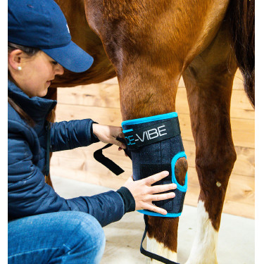 Paragambe Horseware Ice-Vibe Paragambe Horseware Ice-Vibe