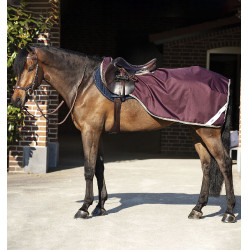 Coprireni Horseware Amigo Competition Ripstop Coprireni Horseware Amigo Competition Ripstop