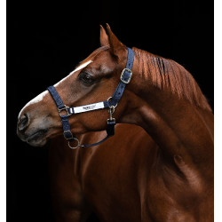 Cavezza di sicurezza Horseware Field Safe Cavezza di sicurezza Horseware Field Safe