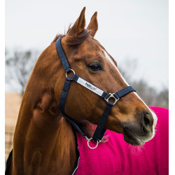 Cavezza di sicurezza Horseware Field Safe Cavezza di sicurezza Horseware Field Safe