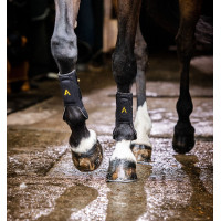 Ghette Horseware Adagio Nero / giallo Ghette Horseware Adagio Nero / giallo