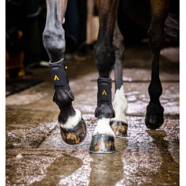 Ghette Horseware Adagio Nero / giallo Ghette Horseware Adagio Nero / giallo