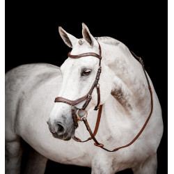 Bridon Horseware Micklem 2 Competition Rambo Havana scuro Marrone Bridon Horseware Micklem 2 Competition Rambo Havana scuro Marrone
