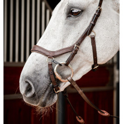 Bridon Horseware Micklem 2 Competition Rambo Havana scuro Marrone Bridon Horseware Micklem 2 Competition Rambo Havana scuro Marrone