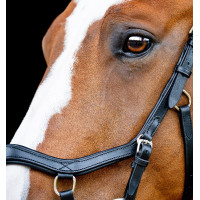 Briglia Horseware Micklem 2 Competition con redini in gomma Havana scuro Marrone Briglia Horseware Micklem 2 Competition con redini in gomma Havana scuro Marrone