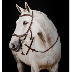 Briglia Horseware Micklem 2 Deluxe Competition Havana scuro Marrone