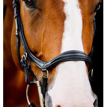 Briglia Horseware Micklem 2 Deluxe Competition Nero