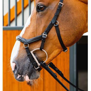 Briglia Horseware Micklem 2 Deluxe Competition Nero