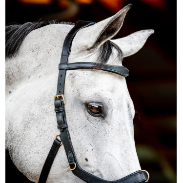 Briglia Horseware Micklem 2 Multi Nero Briglia Horseware Micklem 2 Multi Nero