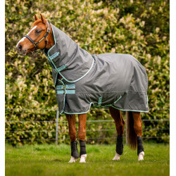 Coperta Horseware Amigo Hero Ripstop Plus con copricollo 200g Grigio shadow / haze / marine
