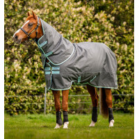 Coperta Horseware Amigo Hero Ripstop Plus con copricollo 200g Fico / argento Bordeaux Coperta Horseware Amigo Hero Ripstop Plus con copricollo 200g Fico / argento Bordeaux