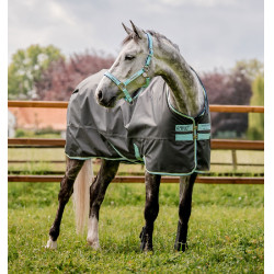 Coperta Horseware Amigo Hero Ripstop 50g Grigio shadow / blu haze / marine Coperta Horseware Amigo Hero Ripstop 50g Grigio shadow / blu haze / marine