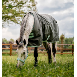 Coperta Horseware Amigo Hero Ripstop 50g Grigio shadow / blu haze / marine Coperta Horseware Amigo Hero Ripstop 50g Grigio shadow / blu haze / marine