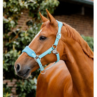 Licol Horseware de pansage Signature Brume bleu Licol Horseware de pansage Signature Brume bleu