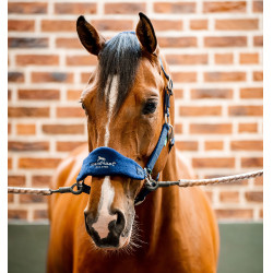 Capestro da toelettatura Signature Horseware Capestro da toelettatura Signature Horseware