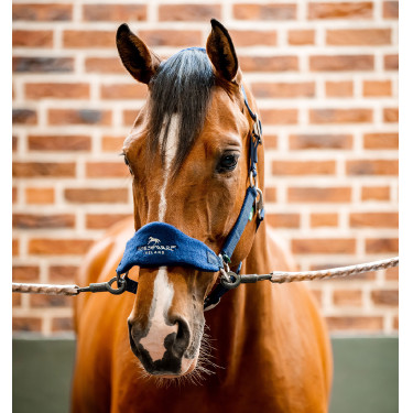 Capestro da toelettatura Signature Horseware Capestro da toelettatura Signature Horseware