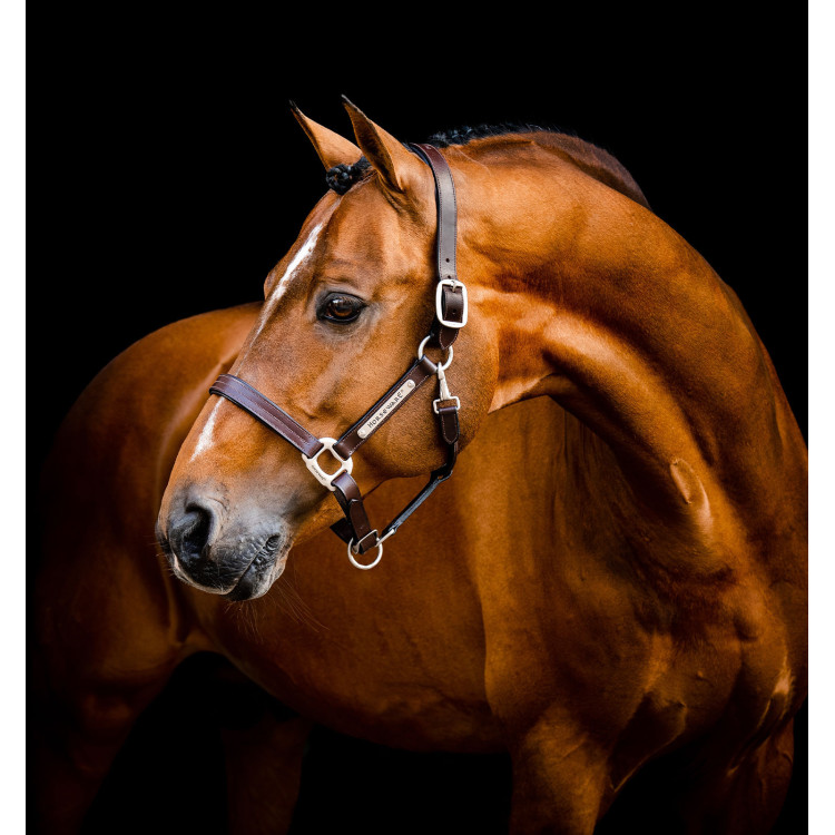 Capestro in cuoio Horseware Signature