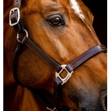 Capestro in cuoio Horseware Signature Nero