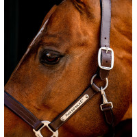 Licol en cuir Horseware Signature Marron