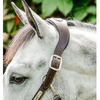 Capestro Horseware intrecciato Signature Marrone / blu navy / nebbia blu Multicolore