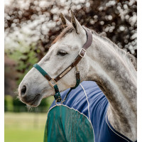 Capestro Horseware intrecciato Signature Marrone / blu navy / nebbia blu Multicolore Capestro Horseware intrecciato Signature Marrone / blu navy / nebbia blu Multicolore