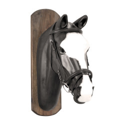 Filet Derby con redini in cotone Filet Derby con redini in cotone