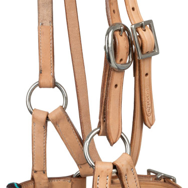 Filet sans morso con capezzina decorata con perline colorate Pool's Naturale Marrone