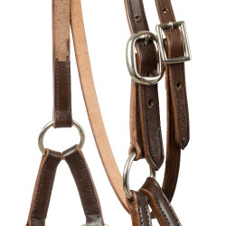 Filet sans morso con capezzina decorata con perline colorate Pool's Marrone scuro