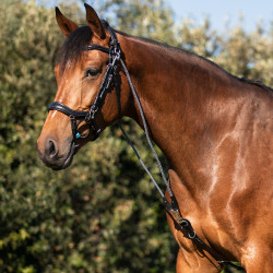 Gogue in cuoio di vitello e nylon Acavallo Nero