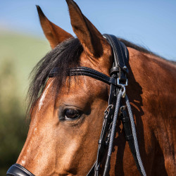 Gogue in cuoio di vitello e nylon Acavallo Nero