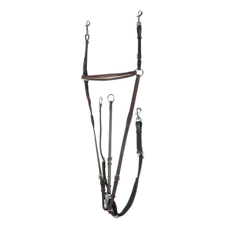 Pettorale combinato con martingala Horze Venice