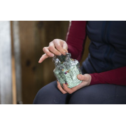 Pierre à lécher Likit