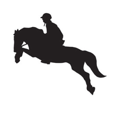 Adesivo per auto HKM Jumping 2