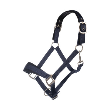 Capezza HKM Samantha Capezza HKM Samantha