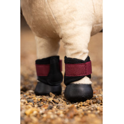 Guêtres Mini Poney Lemieux Brace Bordeaux Guêtres Mini Poney Lemieux Brace Bordeaux