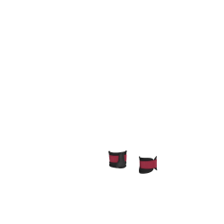 Guêtres Mini Poney Lemieux Brace Bordeaux Guêtres Mini Poney Lemieux Brace Bordeaux