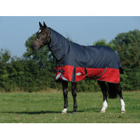 Coperta Weatherbeeta ComFiTec Plus Dynamic II Combo Neck Medium Lite Nero / rosso / argento Coperta Weatherbeeta ComFiTec Plus Dynamic II Combo Neck Medium Lite Nero / rosso / argento
