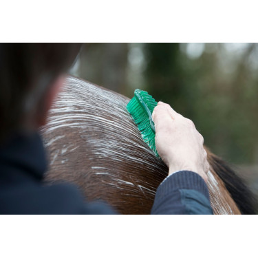 Spazzola LeMieux Hippo Verde Spazzola LeMieux Hippo Verde