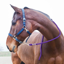 Longe Horze Supreme, moschettone Viola