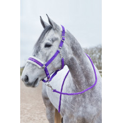 Lunghina Howard Crescendo Horze Viola