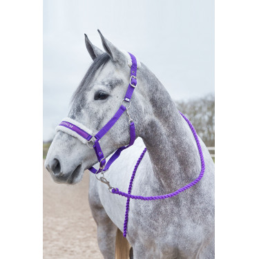 Lunghina Howard Crescendo Horze Viola