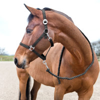 Lunga Basic Horze in Cotone Rosa lampone Lunga Basic Horze in Cotone Rosa lampone