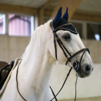 Cuffia Sam con orecchie B Vertigo anti-mosche Blu navy Cuffia Sam con orecchie B Vertigo anti-mosche Blu navy